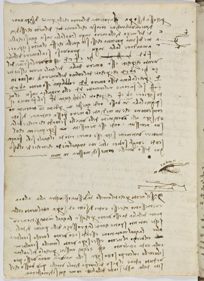 Birds Flight Code, Sheet 9 Verso by Leonardo da Vinci